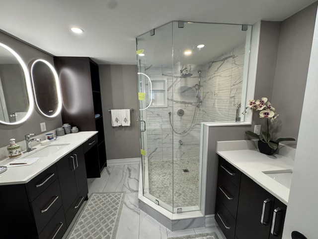 Master bathroom renovation